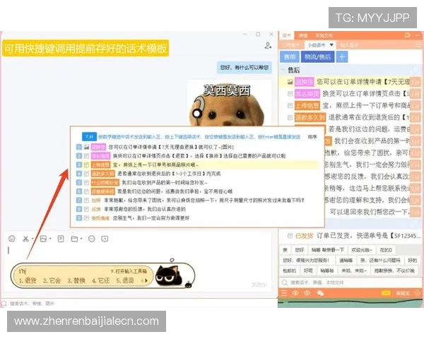 AG视讯厅官方网站提供的多样化游戏种类与专业客服支持详解
