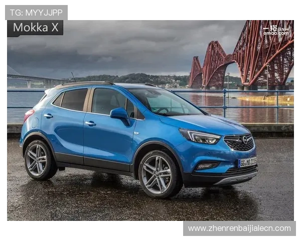 欧宝真人会员注册失败的常见原因及应对措施，确保用户顺利完成注册流程