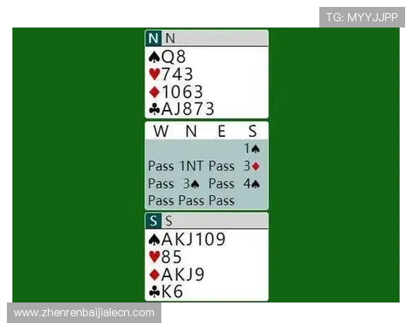 百家乐游戏规则表详解全面解析适合新手玩家的玩法指南与技巧介绍