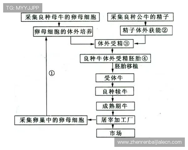 详细解析AG注册体育流程及常见问题解决方案全攻略